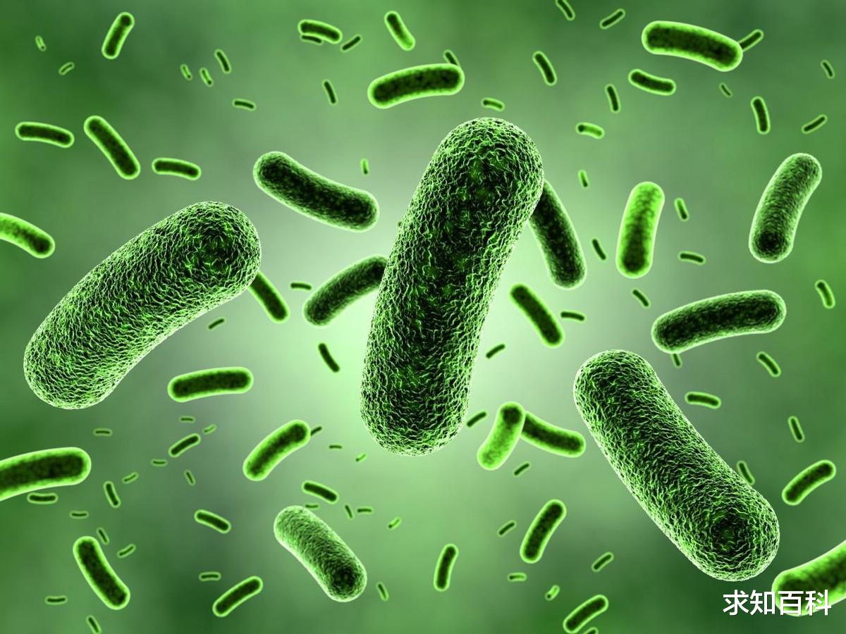 美国生物研究:构成身体的一半是“非人类”细胞,你只算43%的人