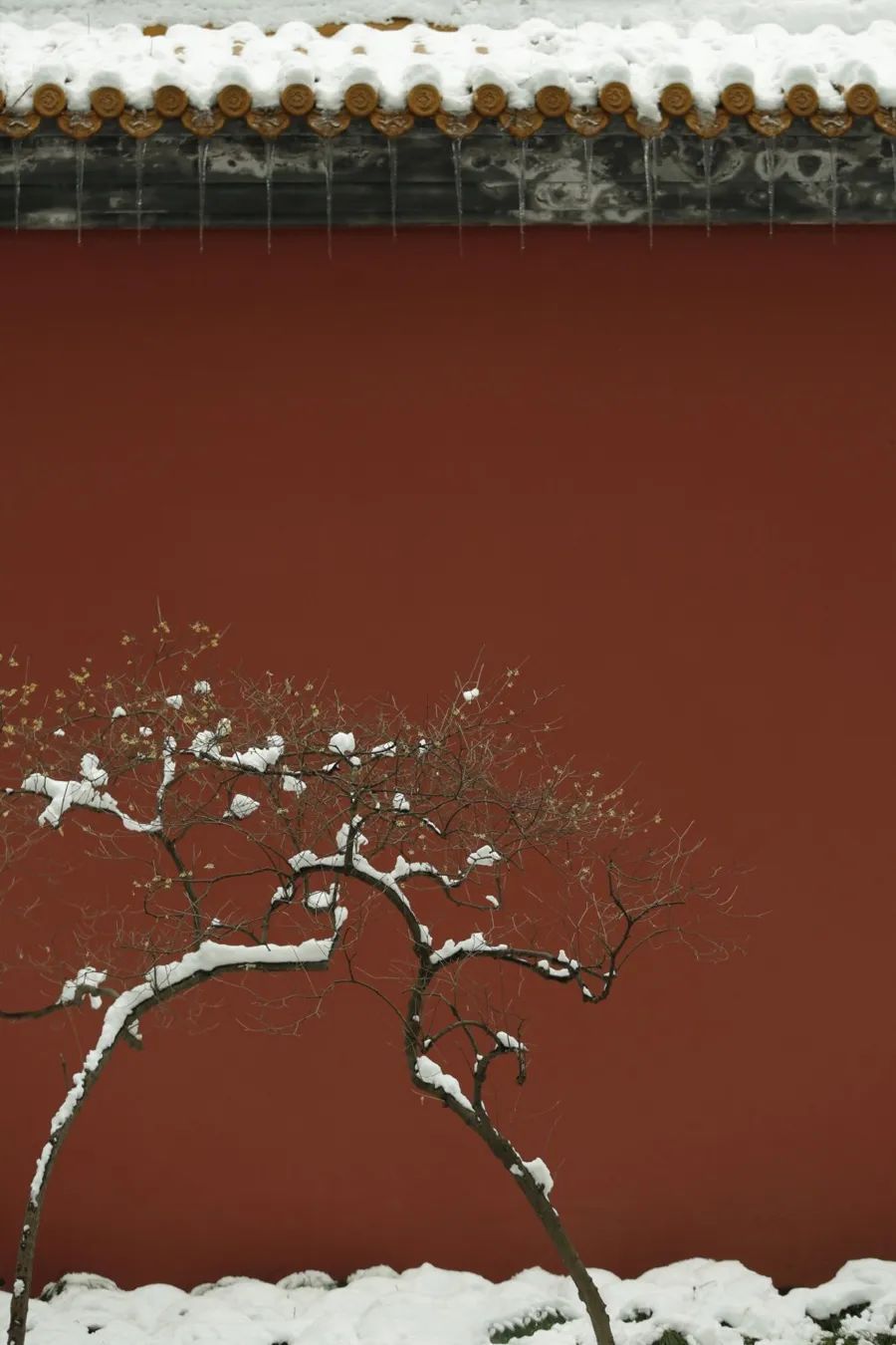 昆山|中国人对时间的雅称，有多美？