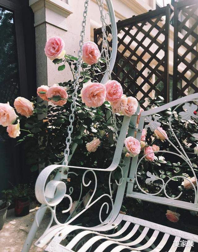 舍弃客厅老气的三件套,打造私人小花园,美的不像话