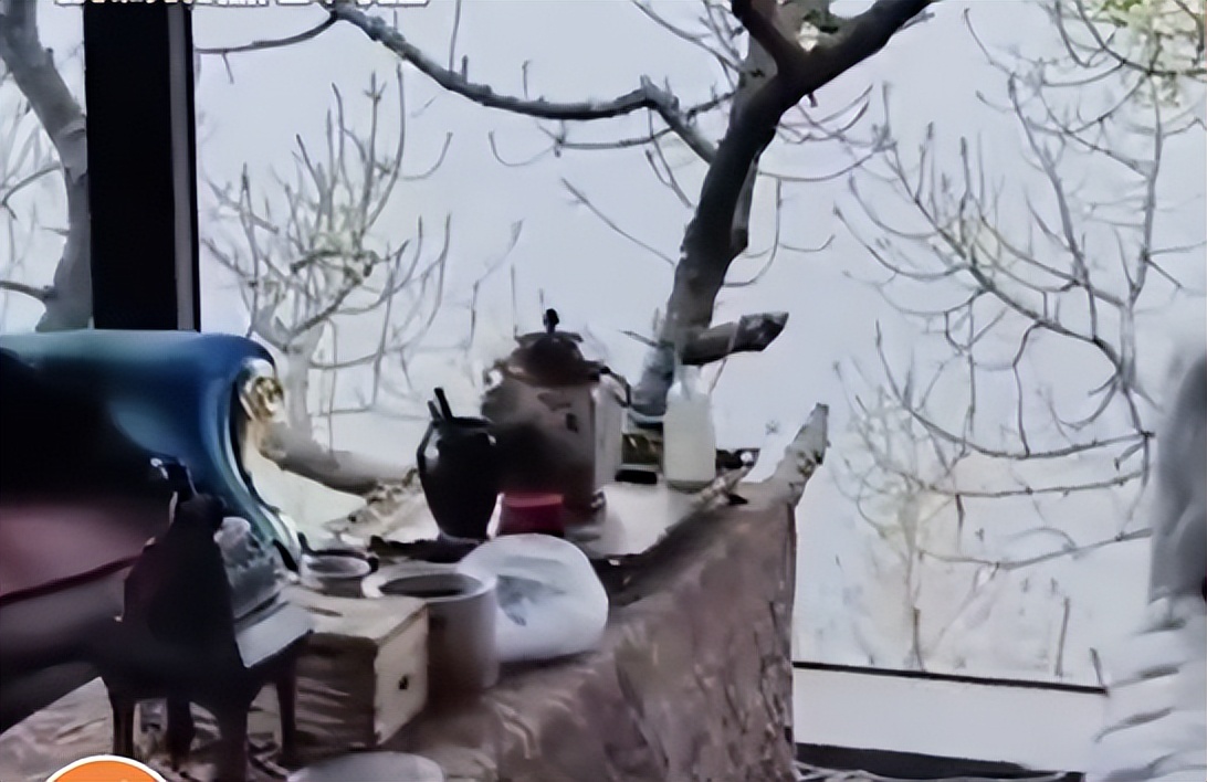 吴宣仪|上海核酸暴露的明星豪宅：刘嘉玲16万一平，这对夫妻的院子似公园