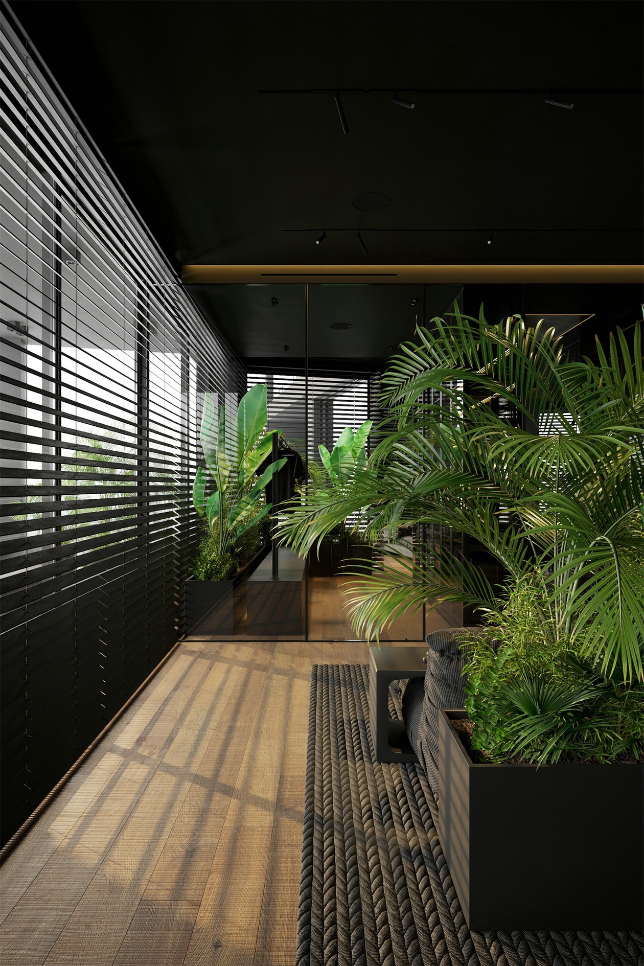 HOUSE 设计 | 黑色+绿植+通透主义+彩光源