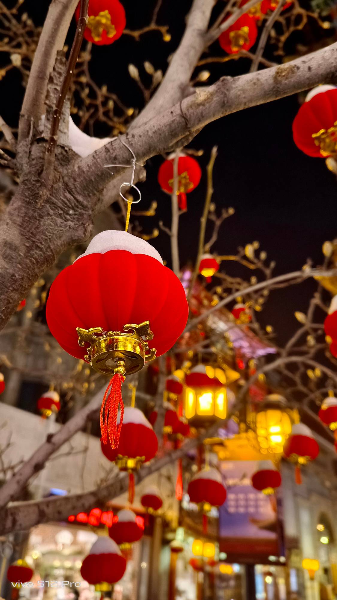 镜头里的“中国年”，是火红火红的