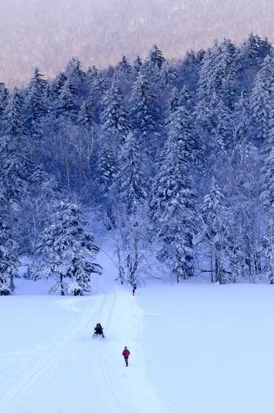 织金|雪乡不远的一个地方，叫海参崴