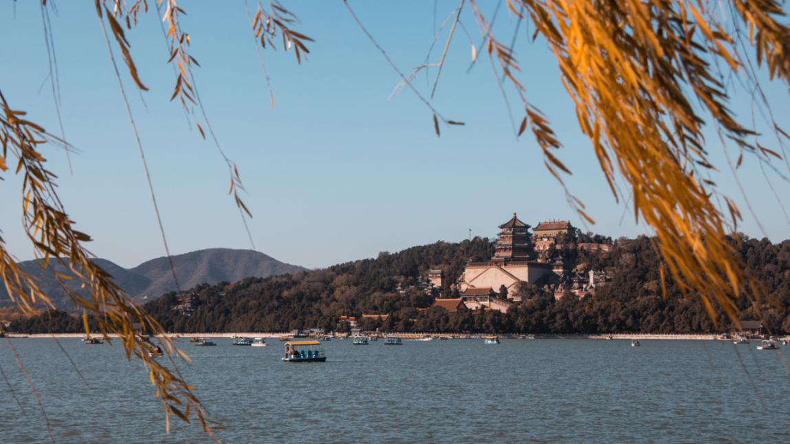 干货 | 教你学会拍摄金黄色的秋天