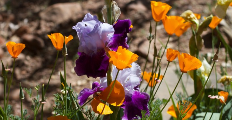 招聘|招聘和工作中遇到的人才,说说我的见闻