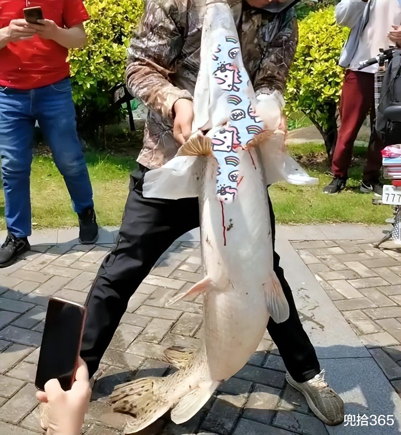 佛山|广东一男子野钓发现巨型黑影，果断将其弄起来，众人瞬间不淡定了