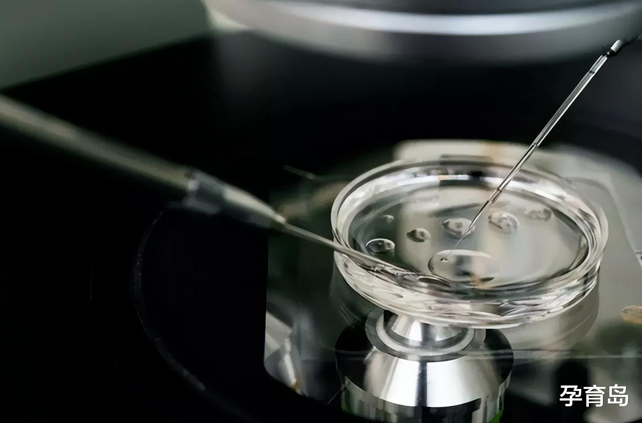 林志玲|林志玲生子后首晒照，产后3个月长这样，网友都直呼“不敢认”