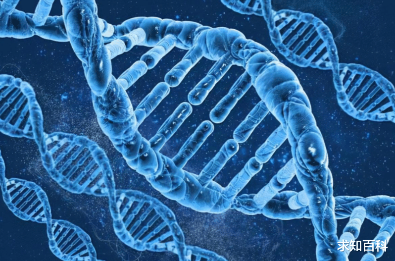 美国生物研究:构成身体的一半是“非人类”细胞,你只算43%的人