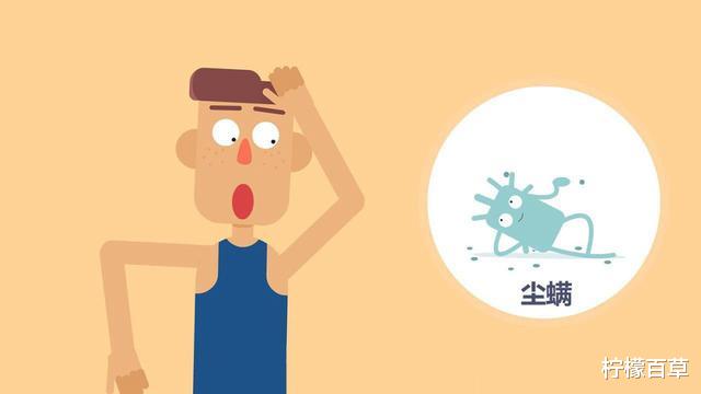 晒被子后有“太阳味”,是因为螨虫被烤焦了?科学家:太阳的功劳