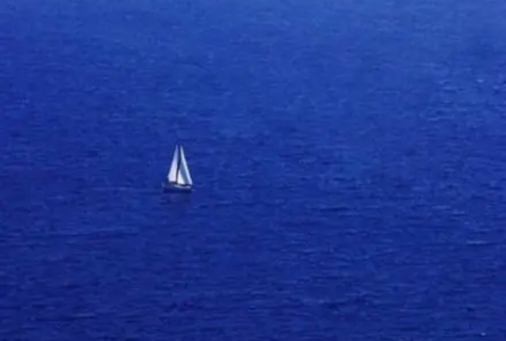 |中年人的生活观:不想再做出头鸟!