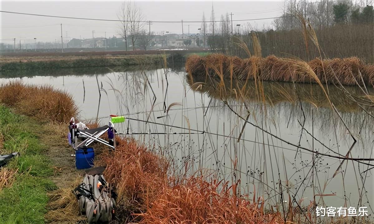 饵料|春季钓鱼，有口钓不上鱼？牢记这5句口诀，到哪里钓鱼都不吃亏
