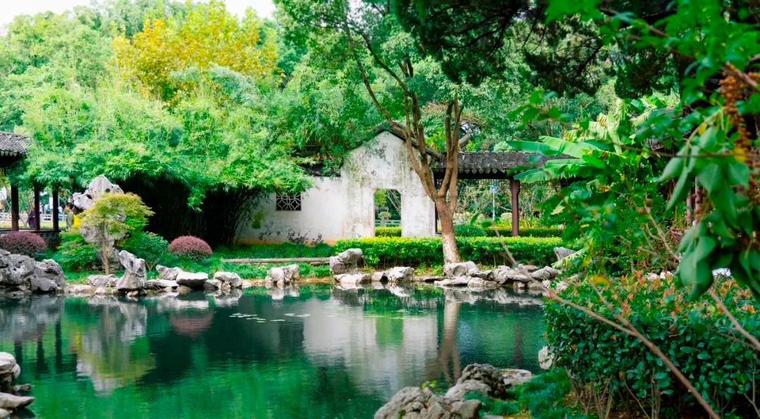 宁波|12次获评“中国最具幸福感城市”的宁波人，到底有多厉害？