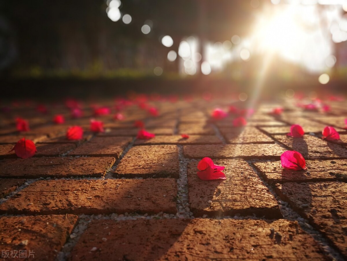 Python|自媒体写作，如果抓不住读者的这3种主流心理，我劝你放弃