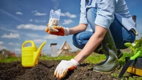 欧洲协会：可堆肥降解塑料对土壤健康有5大好处