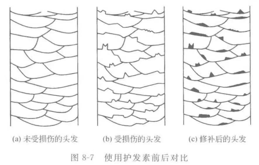 护发素 每天都用护发素,为何头发还是分叉?洗头发,这3个细节可得注意