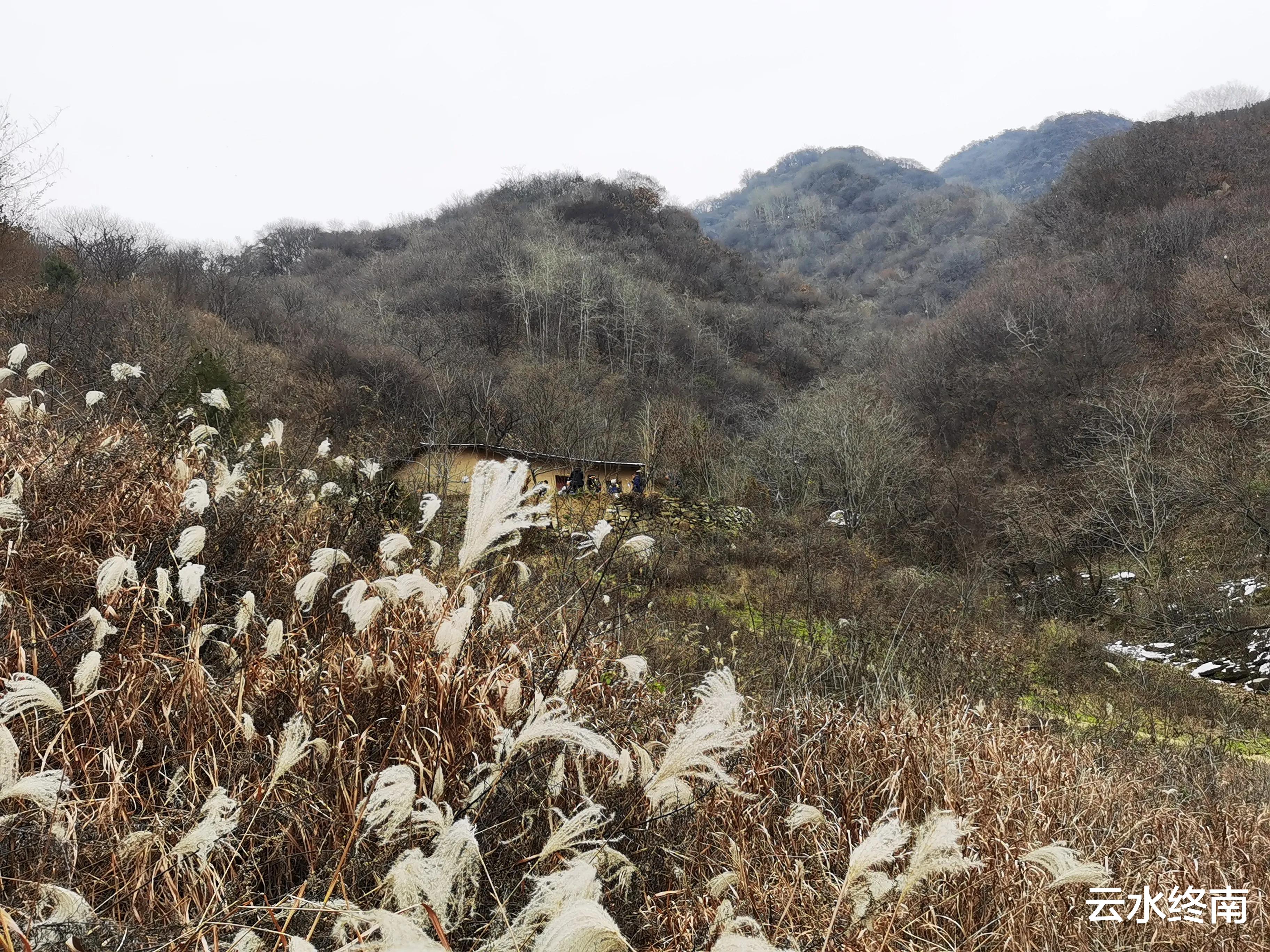 弥勒|海拔900米的秦北麓还有10多亩毛竹林,真是神奇