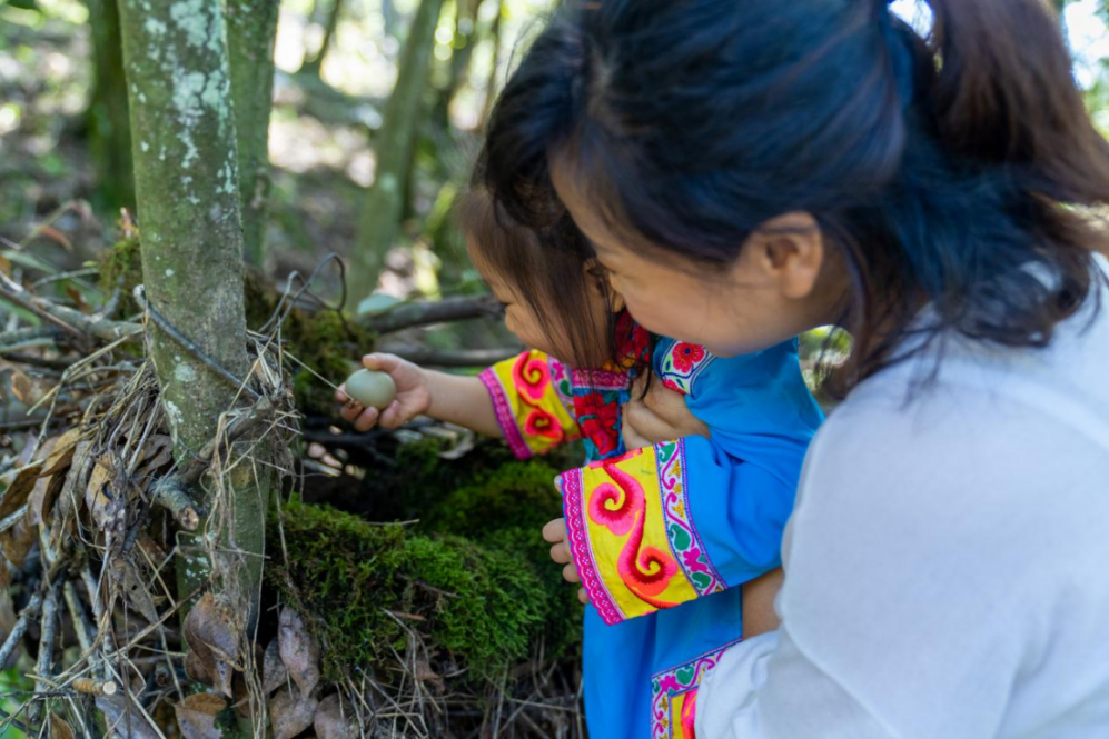 养老机构|端午带娃去哪儿玩?绵阳周边这个露营地火了
