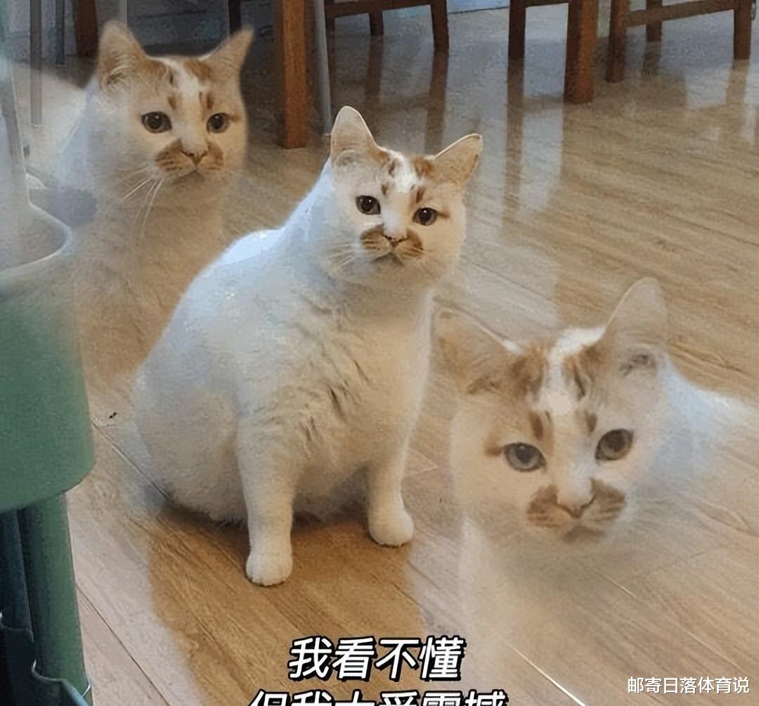 王思聪|网红蛋蛋讽刺王思聪算哪根葱！一天直播营业额达30亿