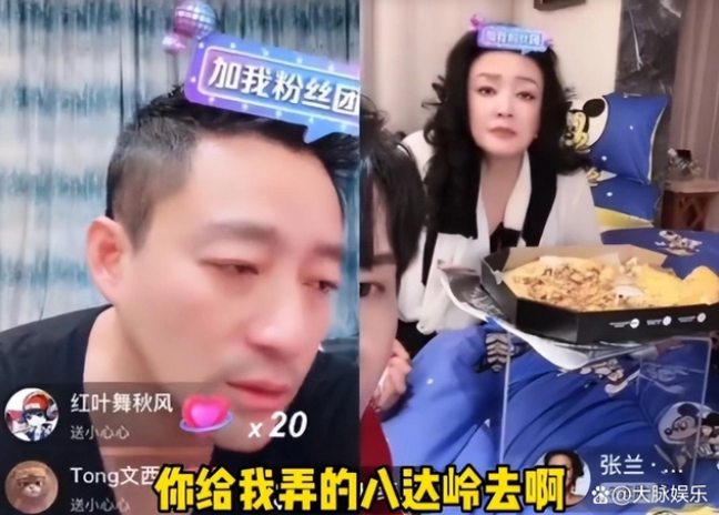 张靓颖|张靓颖想红，但没脑子！