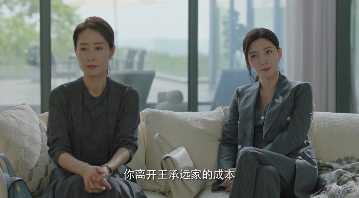 刘敏涛|《女士的法则》全员选角完美，仅1人被指败笔，形象违和让人出戏