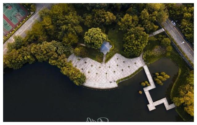 突破关键技术!这一“国际首套”装置,由广东工业大学女教授牵头研制!