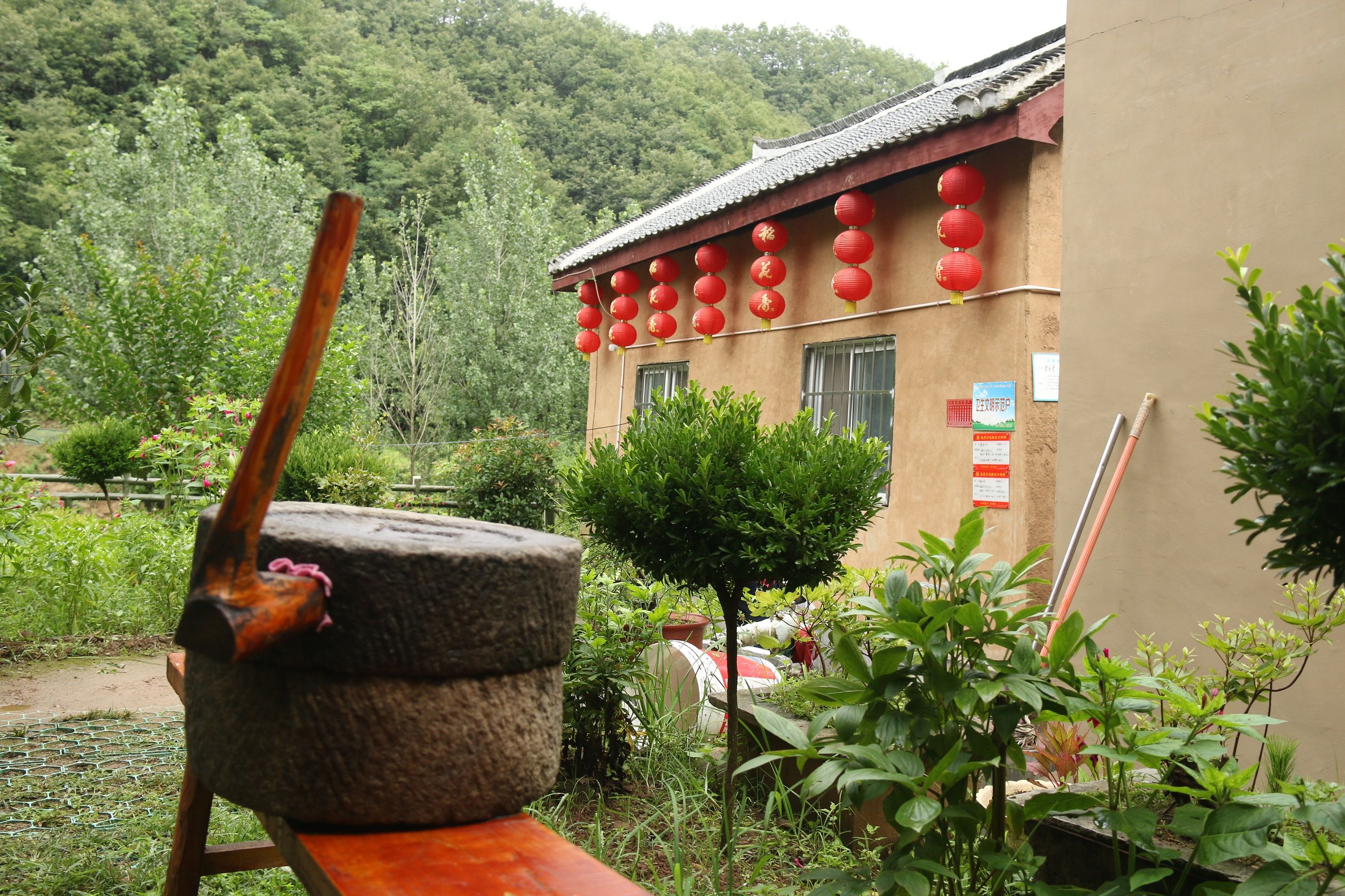 钱塘江|洛阳秋游好去处,藏在栾川的竹林胜景,红叶绿竹瀑布全都有