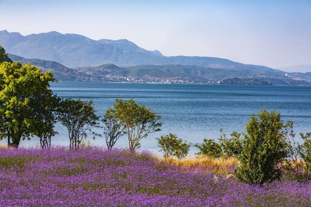 云南|比大理丽江更惬意,去10次都未必知道:它才是云南最该去的地方!