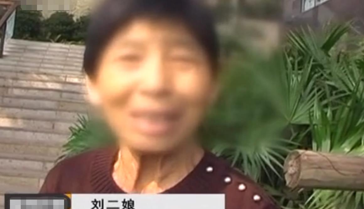 妻子消失30年,儿子为寻母车祸离世,家里土地征收突然回来求复合