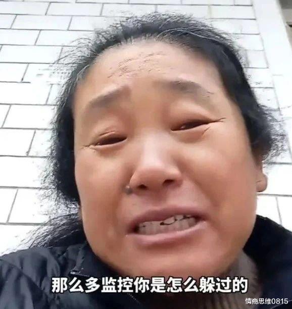 致远中学后山真有带血被褥么?废弃地下室, 柜里发现没吃完面条,如实锤,胡鑫宇事件或迎来重大转机