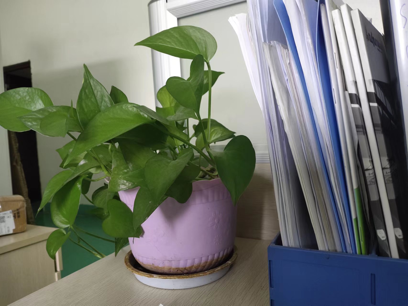 ERP|职场写实，和老板工作上的“斗智斗勇”<一>