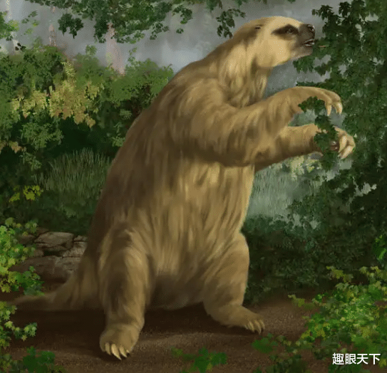 巴西13000年前的史前隧道到底是谁建的?科学家的最新发现,令人不淡定了