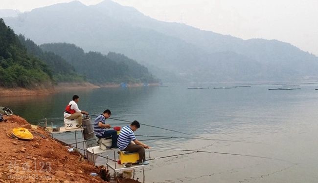 |渔乐杂谈:夏季想要钓获好,必须遵循这4大原则!