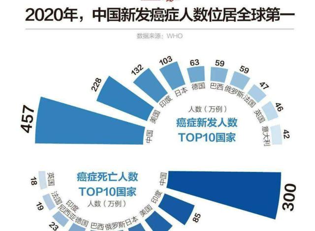 人类有望免疫癌症？科学家在鲸鱼身上，发现了它们不得癌症的秘密