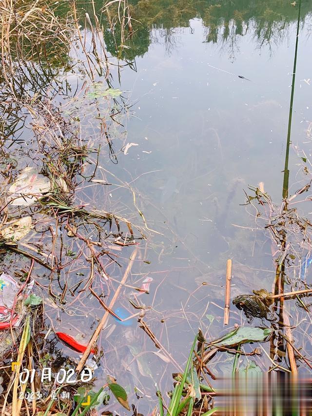 饵料|走心的饵料，果然符合“大家伙”的胃口