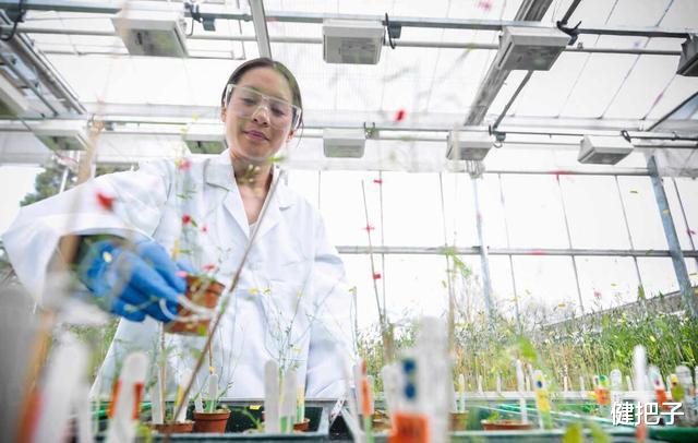 从植物中,研究人类的精神疾病?耶鲁大学开创了先河