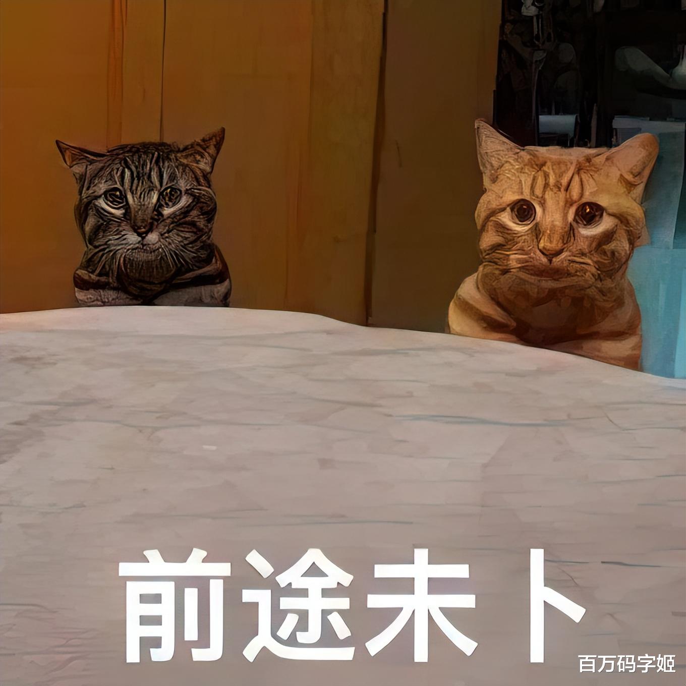 |当“月薪三千到三万”的成功学鸡汤变质过期,才明白职场有多残酷