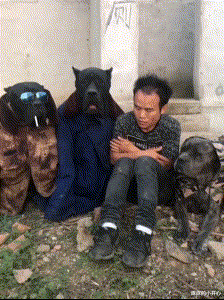 “机场的插座怎么都这样呀?”充电的人多了就会这样!