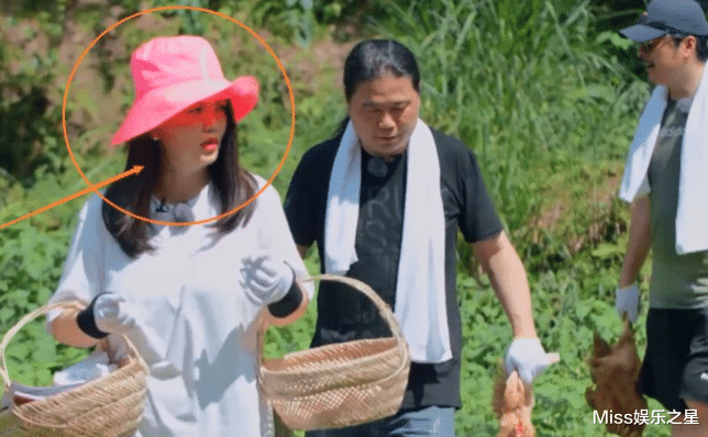 彭小苒|李湘觉得王岳伦不关心她，王岳伦觉得李湘强势、吃相难看