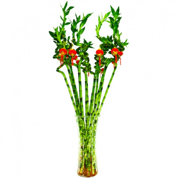 深圳风水大师耶朗：势如破竹开运法