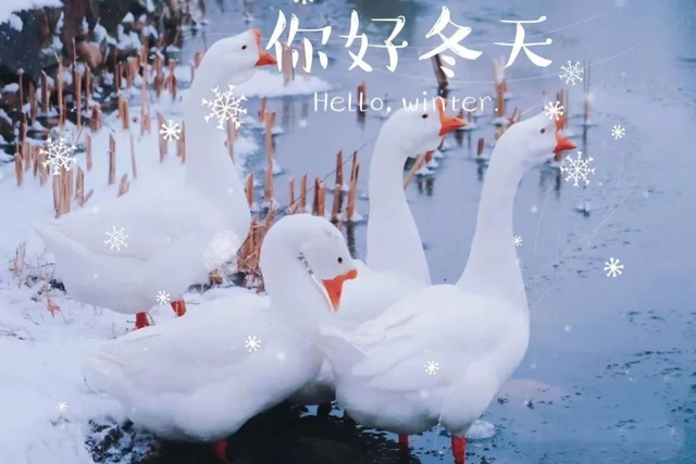 |忽然一夜“春”风来，千树万树“梨”花开