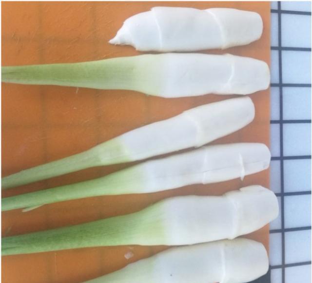云南一男子在路边花980元买菌子,带到昆明送朋友,网友却笑喷了