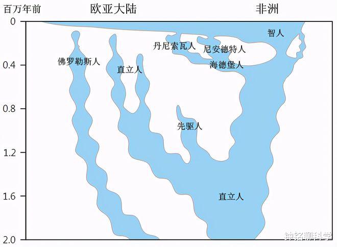 人类起源或被改写?化石揭秘人类或起源非洲,它是中国人祖先吗?