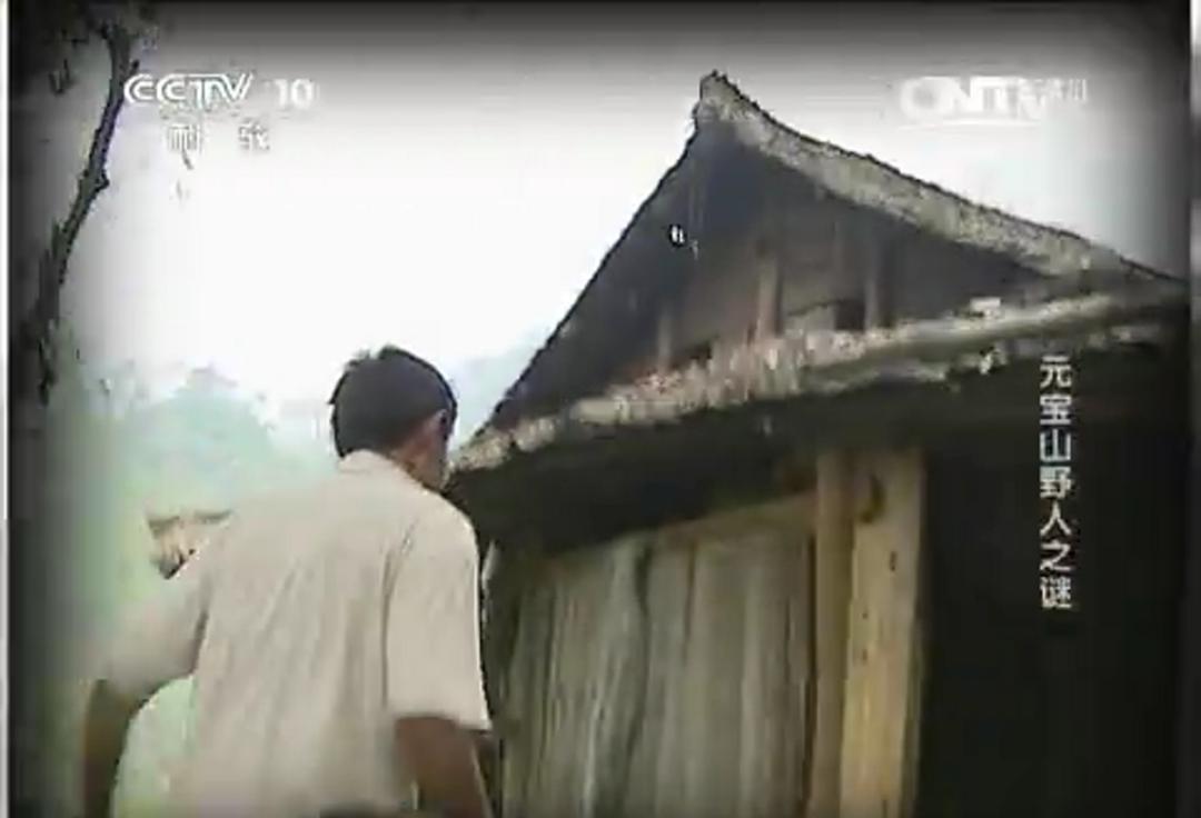 1993年,村民被野人掳走10天后才回家,为探究真相调查组展开考察