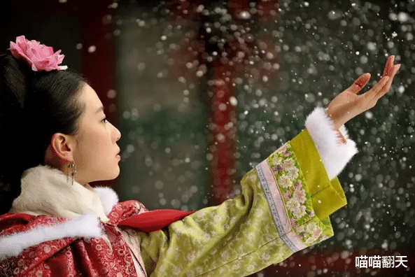 电视剧|《步步惊心》是一部制作精良的电视剧,都有着很多方面的优势