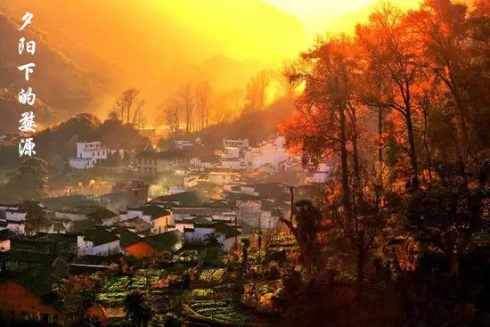 |【赏秋-婺源】