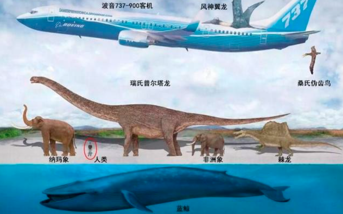 世界上最大的生命体:占地近9平方公里,现在依旧在疯狂生长