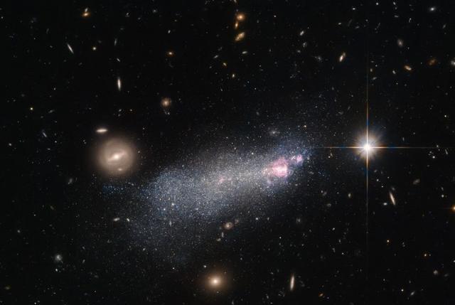 科学家发现一颗有“年轮”的奇特恒星,像宇宙中有一张“蜘蛛网”