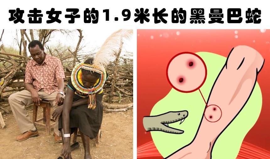 凶残的动物:人类历史上出现过的8次可怕且致命的动物袭击