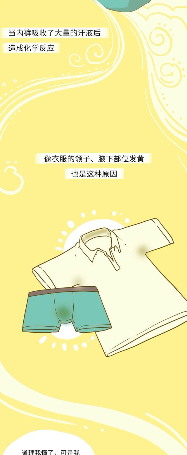 漫畫|男人的內褲，到底有多“臟”？一組漫畫「揭秘」，網友：別戳穿我