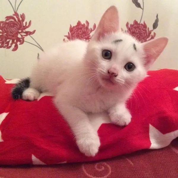 为啥长大后没之前可爱呢？